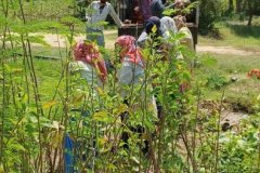IMG_20230414_114017_050