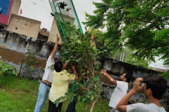IMG-20211031-WA0011