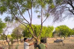 IMG-20240602-WA0016