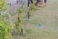 IMG_20230325_065135_230