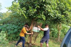 IMG_20230618_073139_919