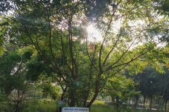 IMG_20230929_080109_476